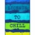 jilda-tex Strandtuch 90x180 cm Badetuch Strandlaken Handtuch 100% Baumwolle Velours Frottier Pflegeleicht (Chill) - 6