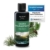 AllgäuQuelle® Saunaaufguss mit 100% BIO-Öle Waldaufguss Fichte Latschenkiefer Alpenzirbe Minze (100ml). Natürlicher Sauna-aufguss mit Sauna-ätherische-Öle im Aufguss-Mittel. - 1