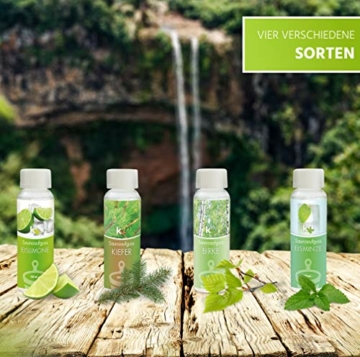 KK Saunaaufguss-Set Skandinavien - Made in Germany - 4 verschiedene Duftsorten in einem Set - Eislimone, Birke, Eisminze, Kiefer - 100ml Flasche - in verschiedenen Varianten erhältlich - 2