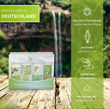 KK Saunaaufguss-Set Skandinavien - Made in Germany - 4 verschiedene Duftsorten in einem Set - Eislimone, Birke, Eisminze, Kiefer - 100ml Flasche - in verschiedenen Varianten erhältlich - 6