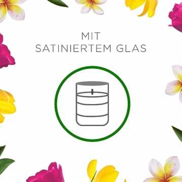 Air Wick Wohlfühl-Duftkerze DUO im Glas – Duft: Blumenwiese – Enthält natürliche ätherische Öle – 2 x Duftkerzenset in Braun - 7