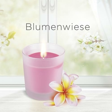 Air Wick Wohlfühl-Duftkerze DUO im Glas – Duft: Blumenwiese – Enthält natürliche ätherische Öle – 2 x Duftkerzenset in Braun - 8