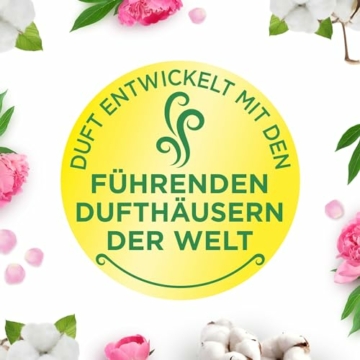 Air Wick Wohlfühl-Duftkerze DUO im Glas – Duft: Cotton Flower Dream – Enthält natürliche ätherische Öle – Duftkerzenset mit je 2 Kerzen - 3