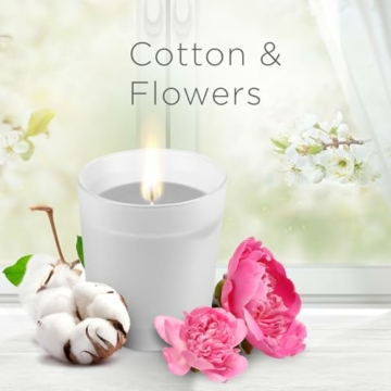 Air Wick Wohlfühl-Duftkerze DUO im Glas – Duft: Cotton Flower Dream – Enthält natürliche ätherische Öle – Duftkerzenset mit je 2 Kerzen - 4