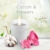 Air Wick Wohlfühl-Duftkerze DUO im Glas – Duft: Cotton Flower Dream – Enthält natürliche ätherische Öle – Duftkerzenset mit je 2 Kerzen - 4
