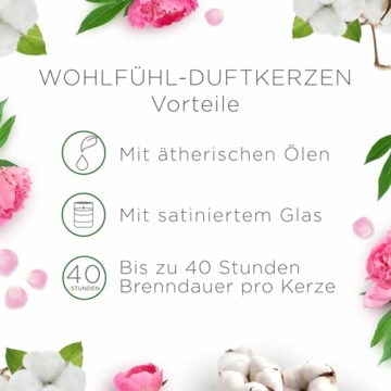 Air Wick Wohlfühl-Duftkerze DUO im Glas – Duft: Cotton Flower Dream – Enthält natürliche ätherische Öle – Duftkerzenset mit je 2 Kerzen - 5