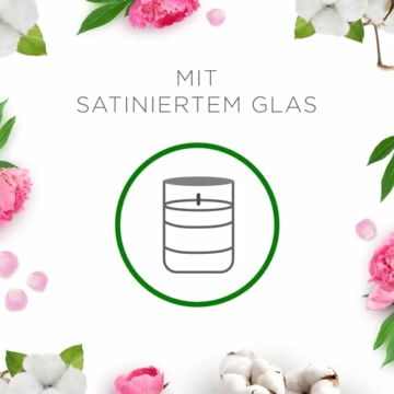 Air Wick Wohlfühl-Duftkerze DUO im Glas – Duft: Cotton Flower Dream – Enthält natürliche ätherische Öle – Duftkerzenset mit je 2 Kerzen - 8